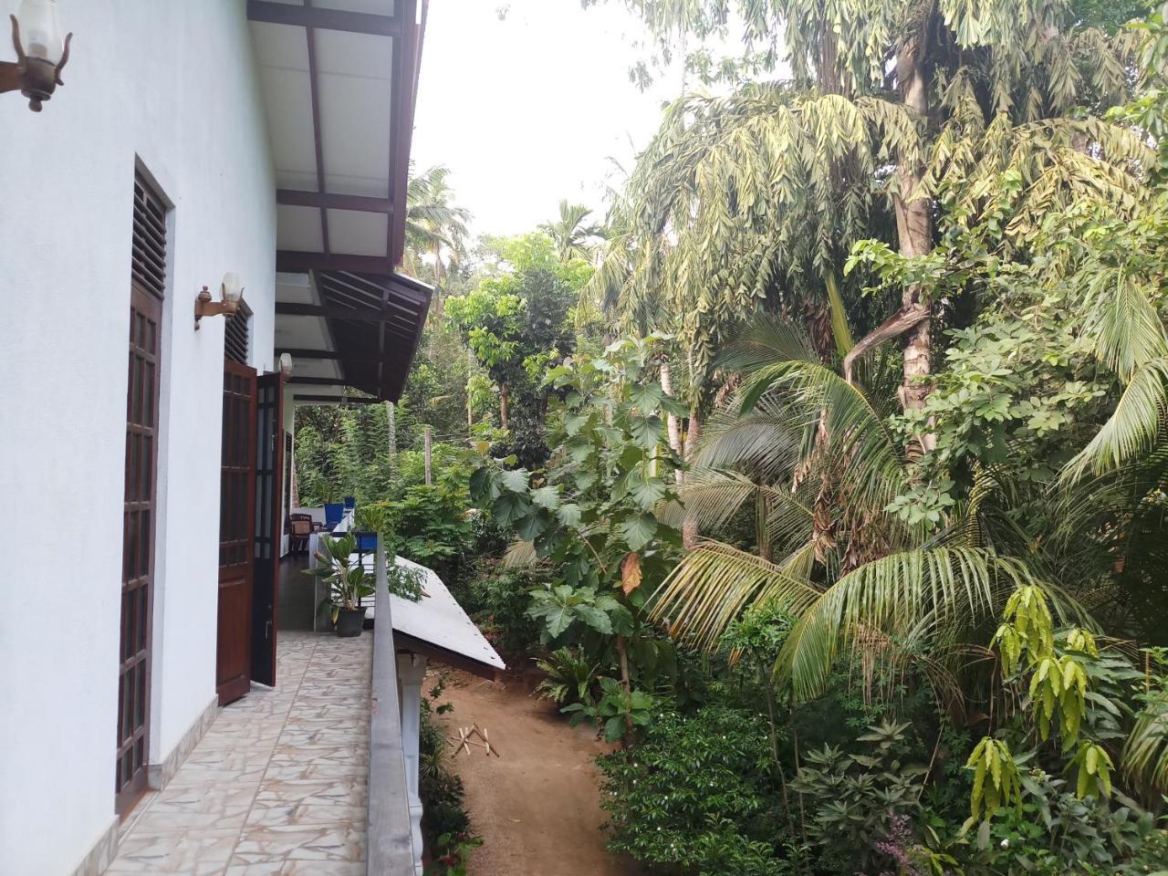 Country house Piumi House *